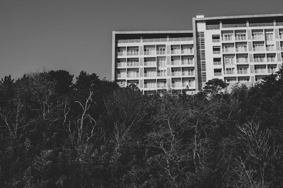 Black and white photo of a modern multi-story building rising above a forest canopy.