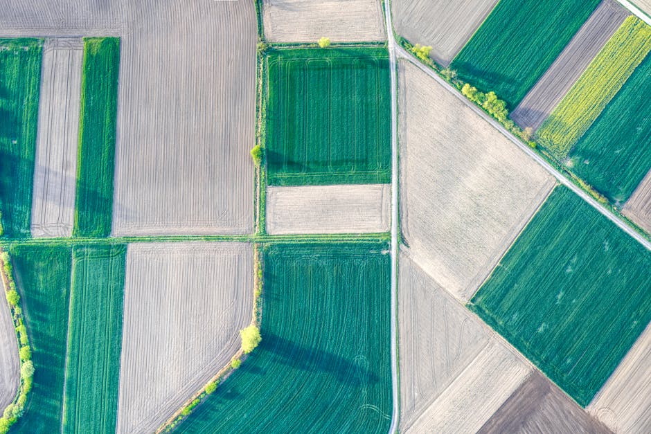 Captivating aerial view of colorful patchwork fields, showcasing rural agriculture and natural beauty.
